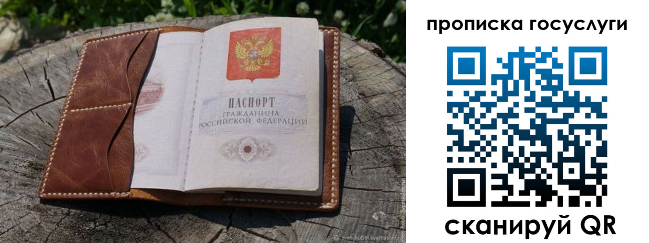 прописка для школы в Алейске